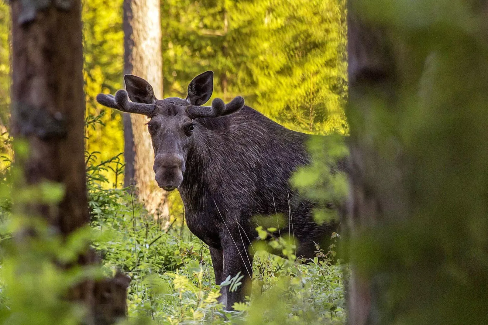 6 persoons vakantie huis in TORSBY-Niet-getagd