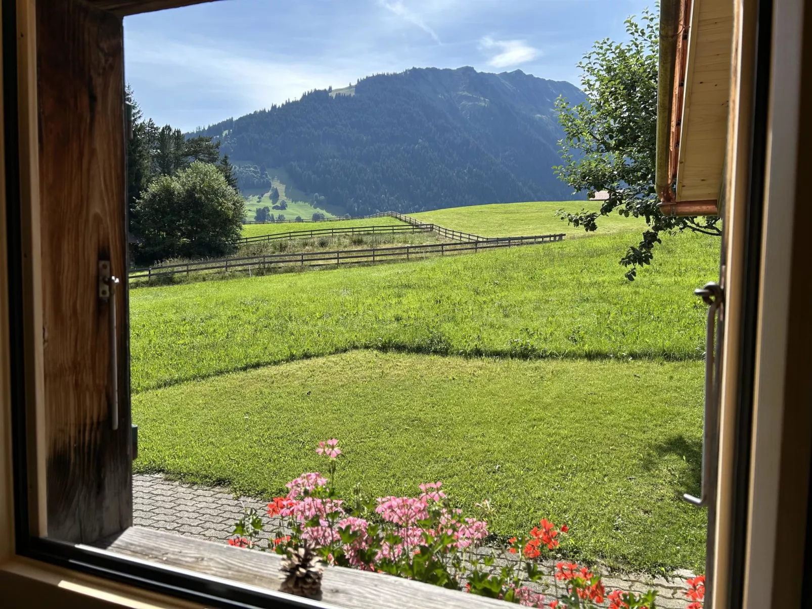 Alpenchalet Haldeli-Binnen