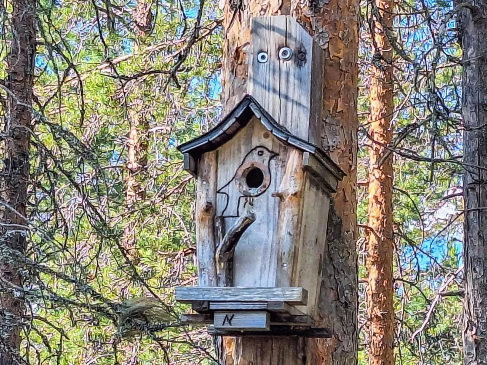 Rokua vaulutupa-Binnen