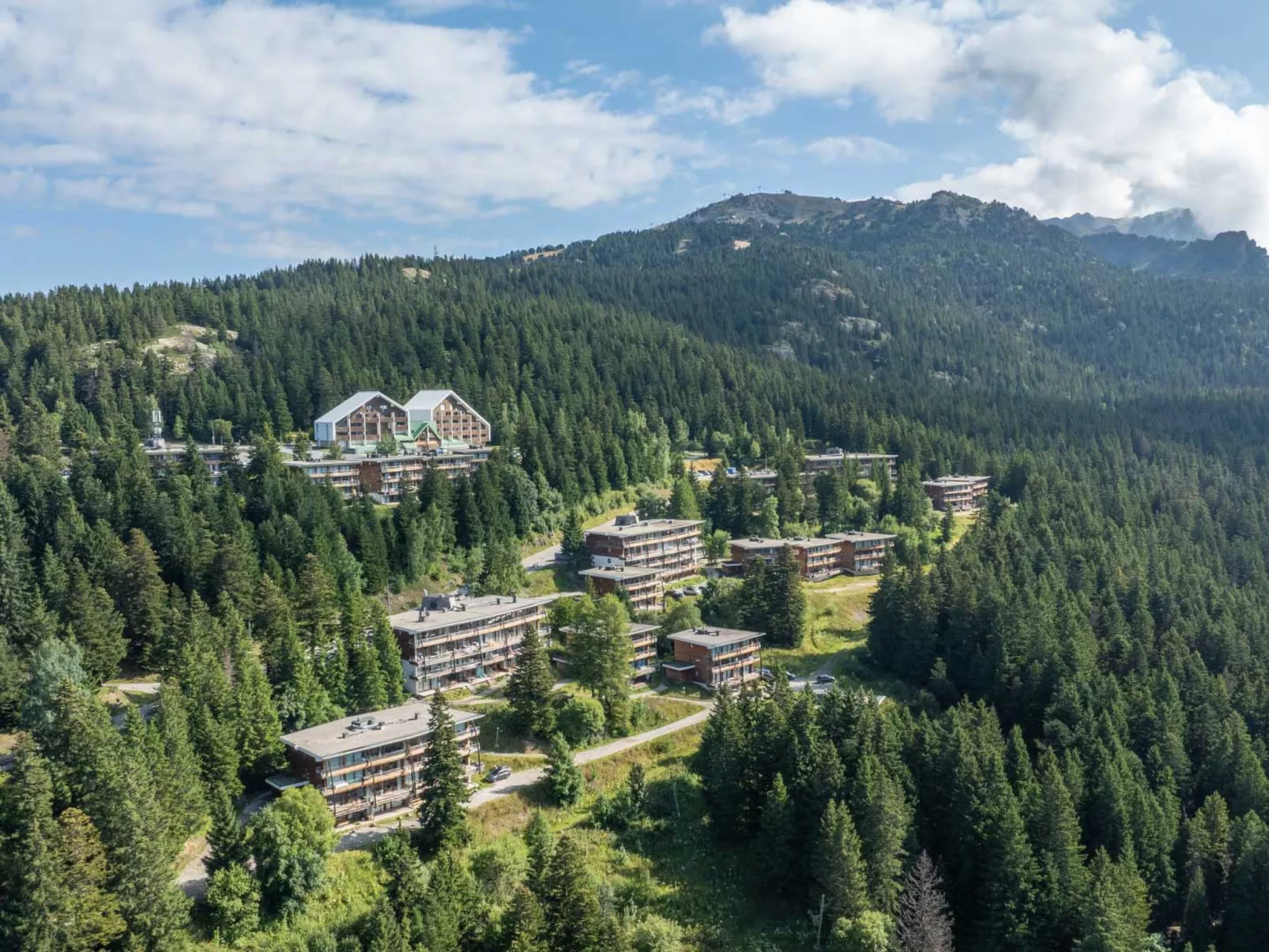 V du Bachat Silene D-Binnen