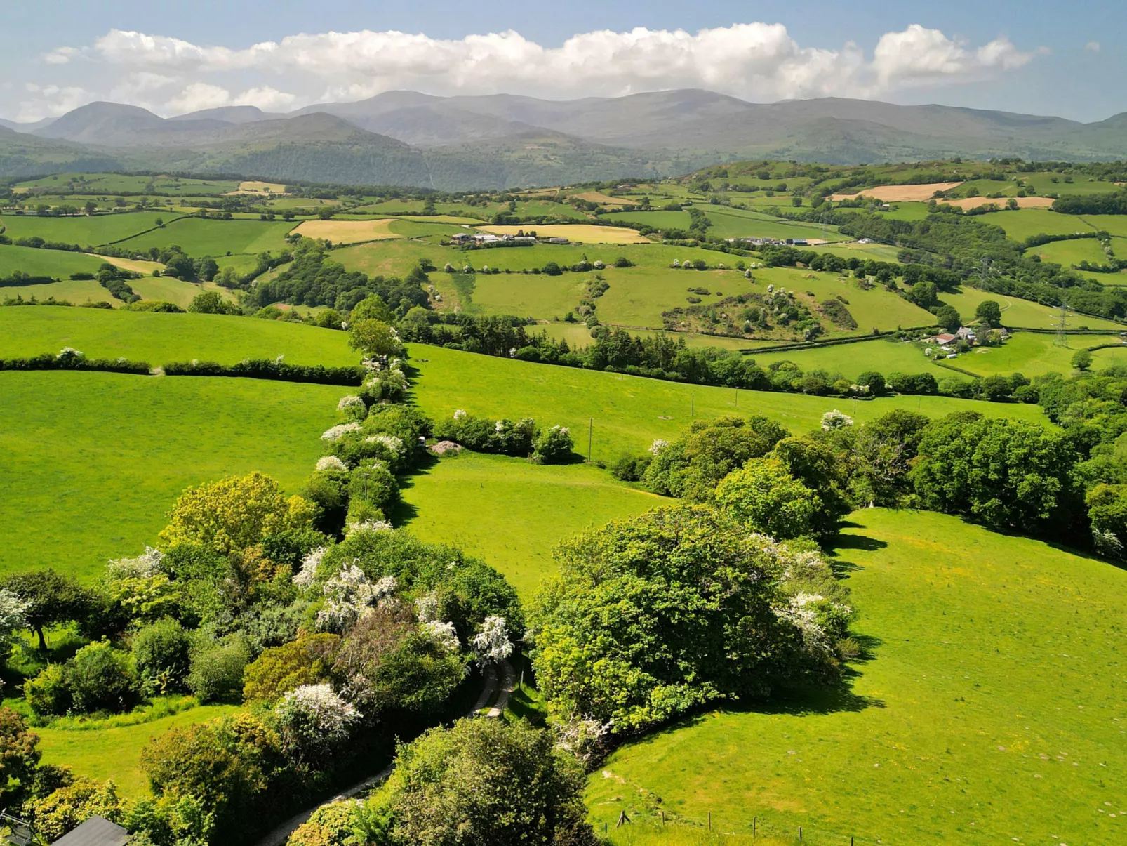 Red Kites Retreat-Buiten