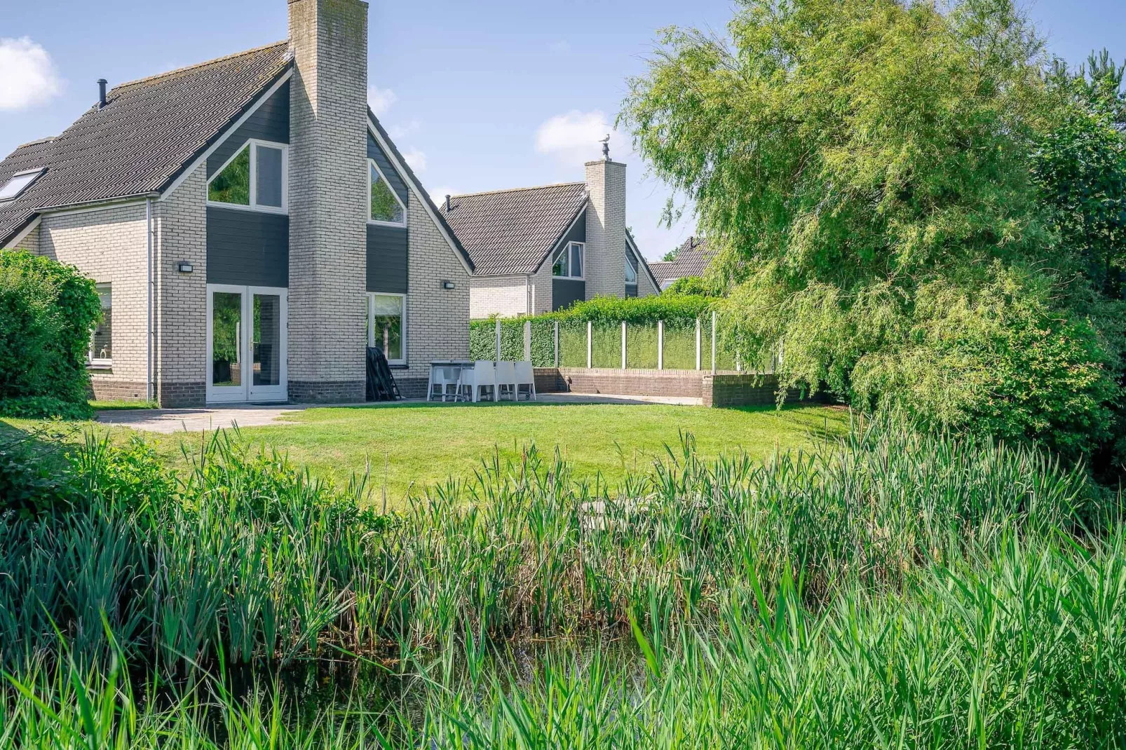 Kamperfoelie 67-Buitenkant zomer