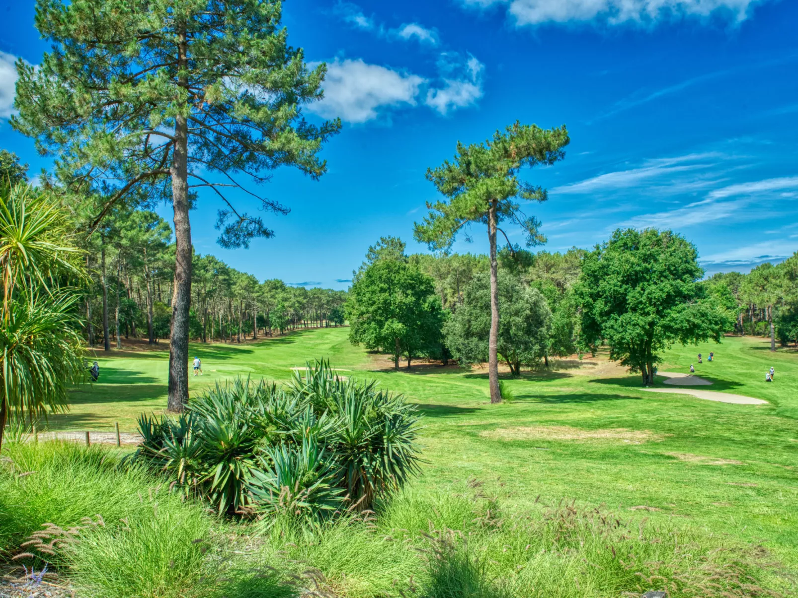 Marina de Talaris-Omgeving