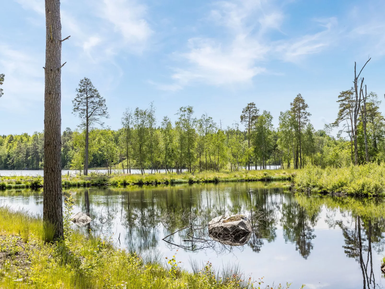 Erikstorp Tvåan (BLE142)-Buiten