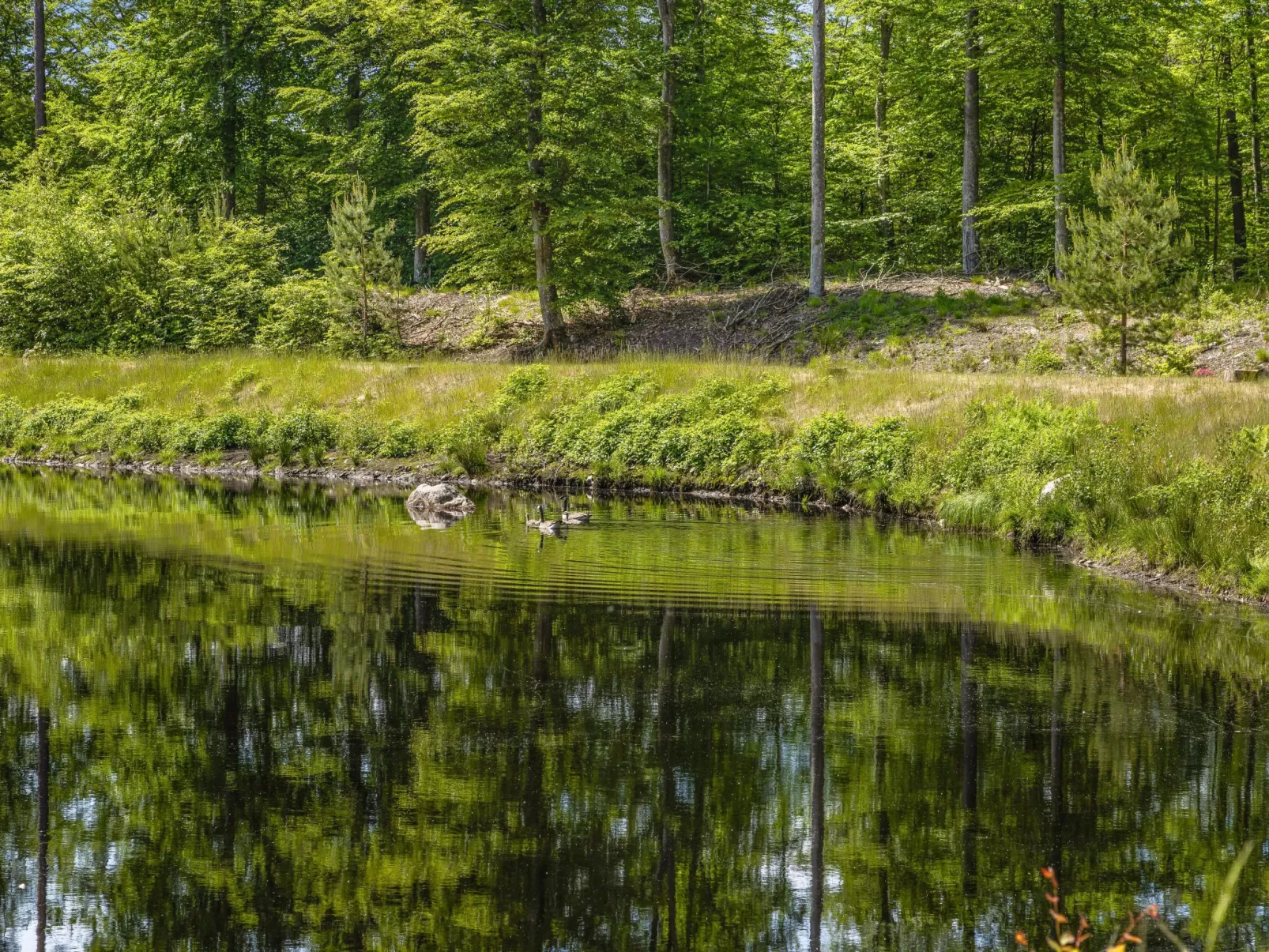 Erikstorp Tvåan (BLE142)-Buiten