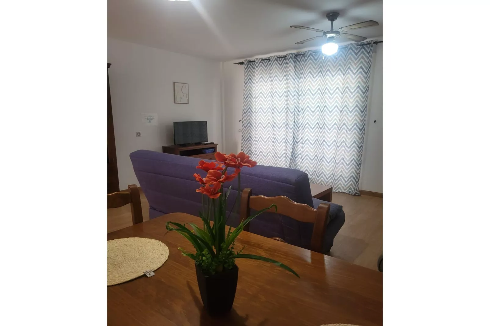 CT 369 AL - Faro's Apartmento Naturista - Primera Linea Vera Playa-Woonkamer