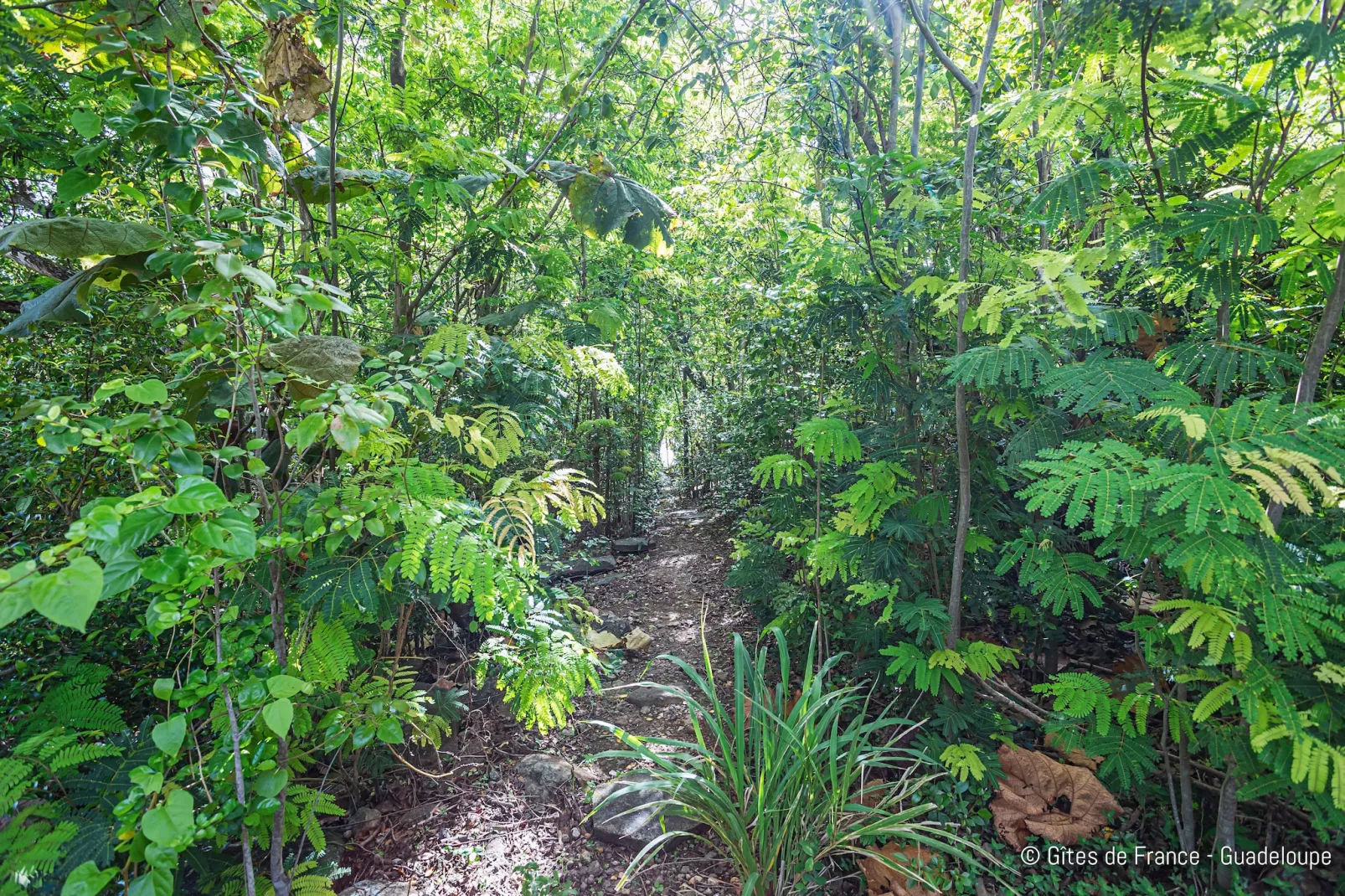 Paradise Bay Bungalow cosy bord de mer et piscine-Gebieden zomer 5km