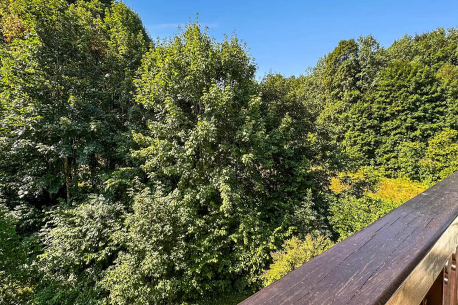Appartements à Les Carroz-d'Arâches-Niet-getagd