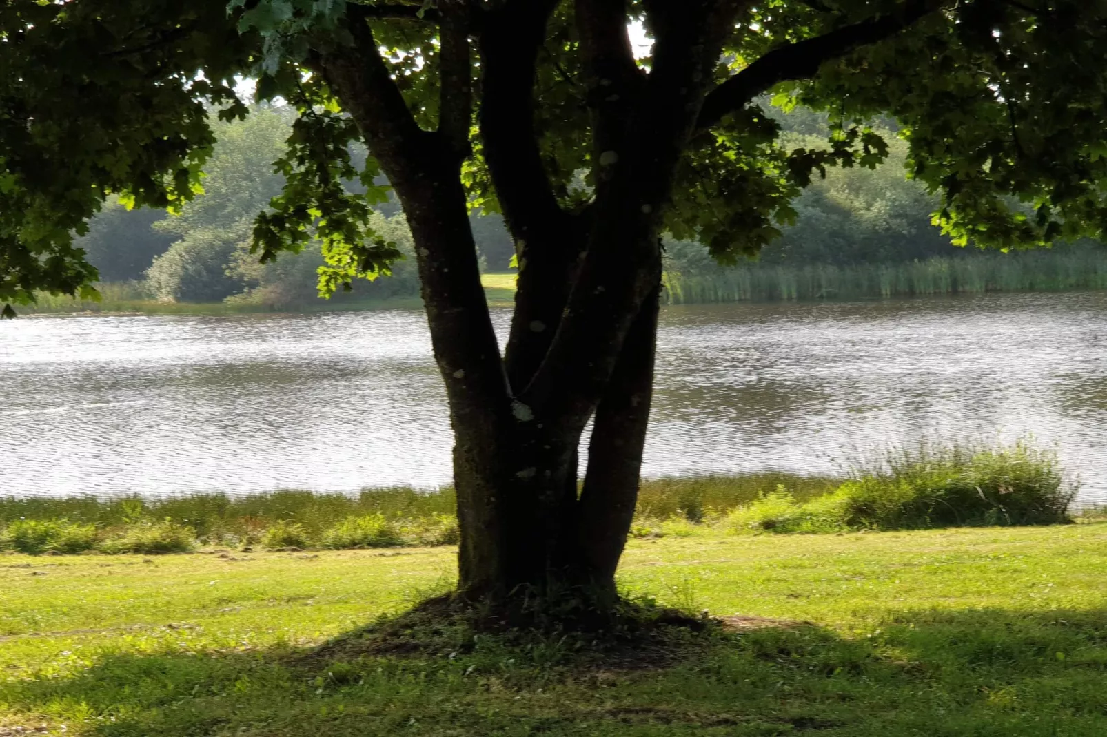 Lichte Cottage-oase in Silkeborg-By Traum-Waterzicht