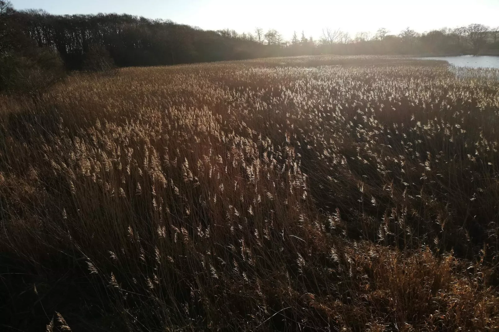 8 persoons vakantie huis in Ebeltoft-Waterzicht