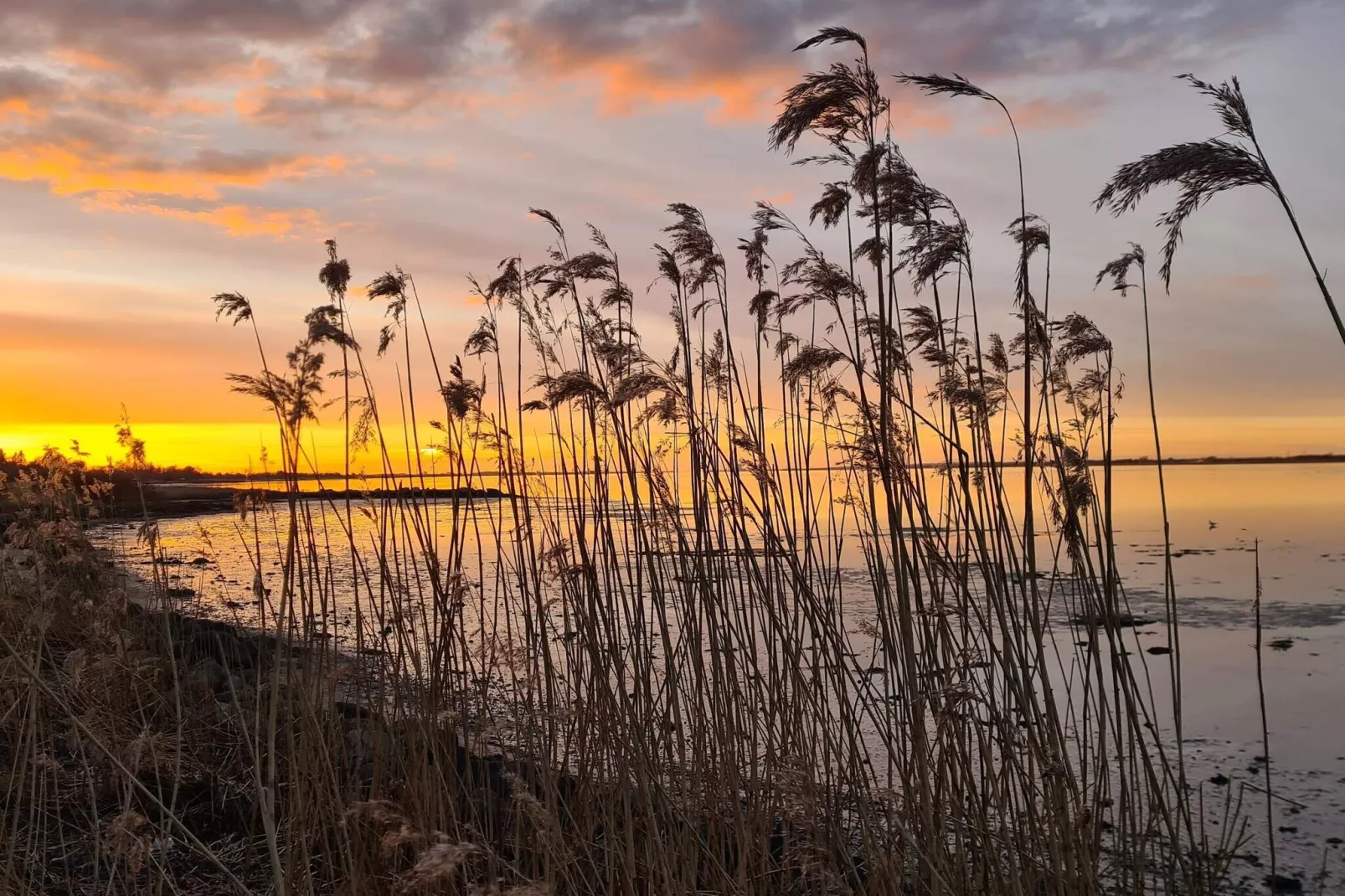 6 persoons vakantie huis in Storvorde-By Traum-Waterzicht