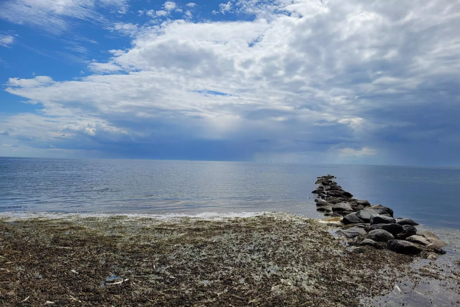 8 persoons vakantie huis in Nysted-Waterzicht