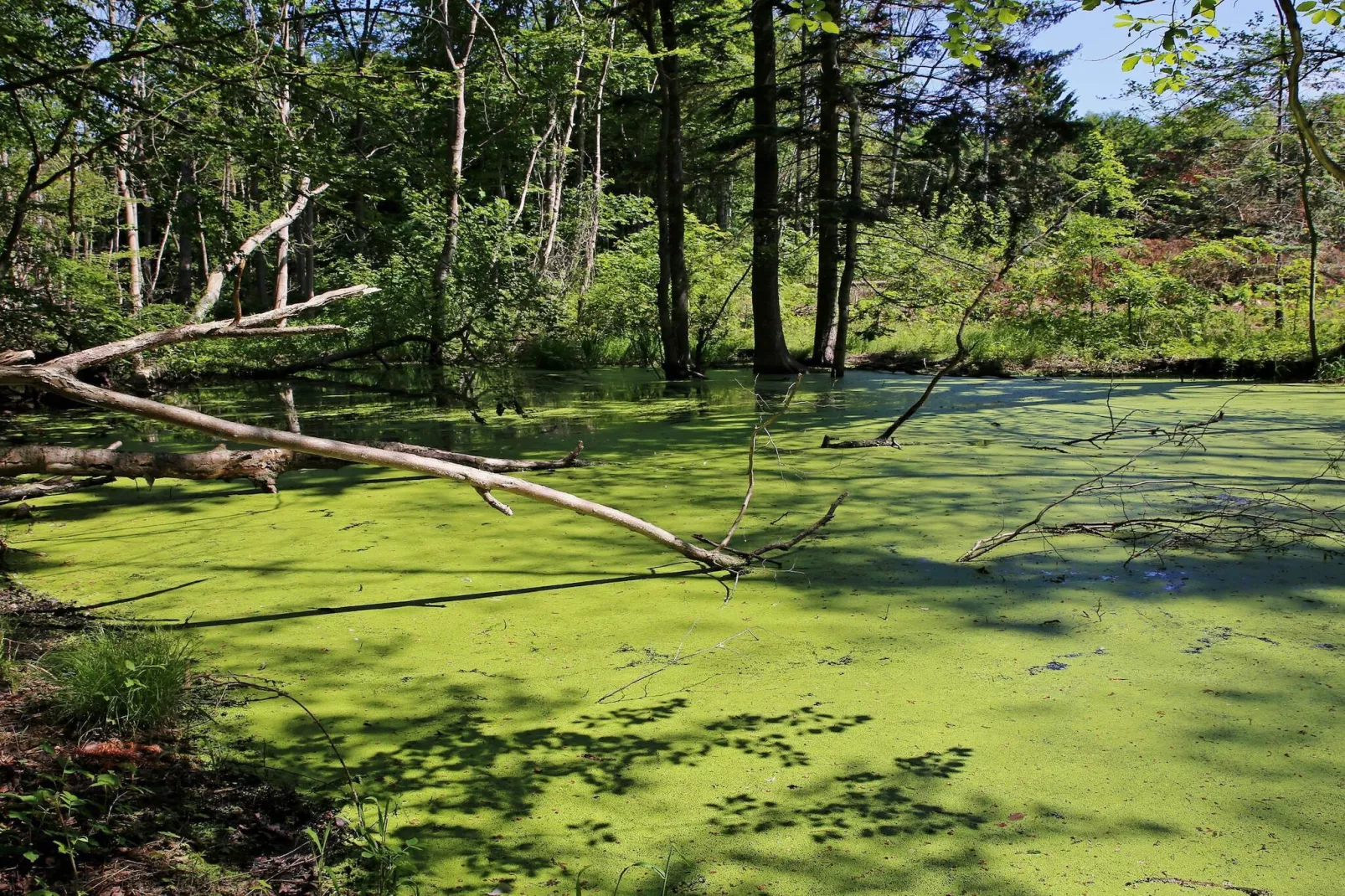 Luxe zwembadvilla in Lohals -- By Traum Ferienwohnungen-Waterzicht