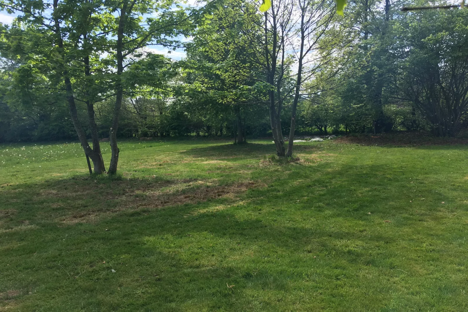 Domaine des Bouts de Fagnes-Tuinen zomer