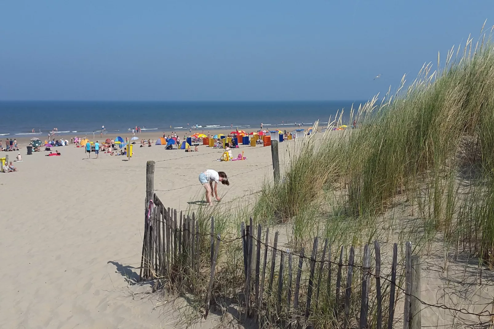 Marie aan Zee-Gebieden zomer 5km