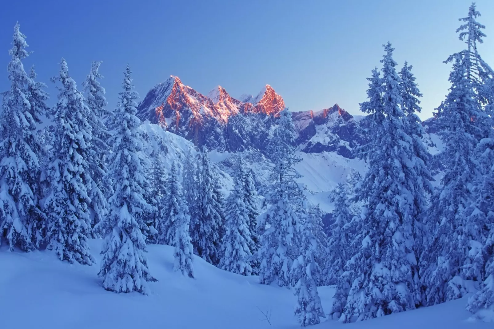 Filzmoos Appartements-Gebieden zomer 1km