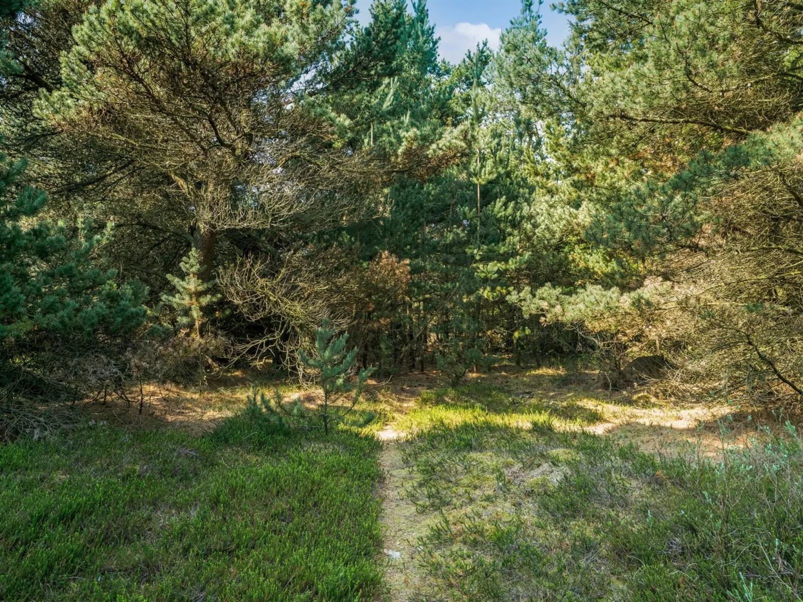 "Herborg" - 1km from the sea-Buiten