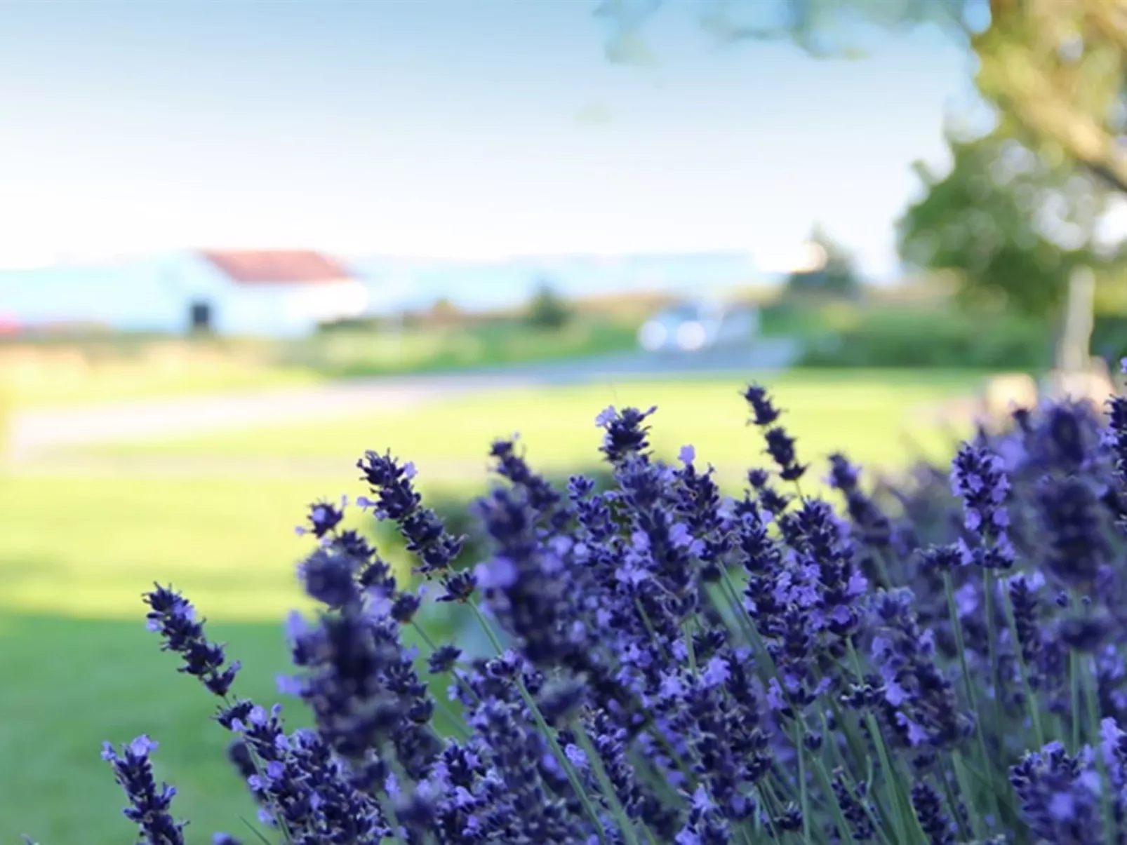 "Rina" - 30m to the fjord-Buiten