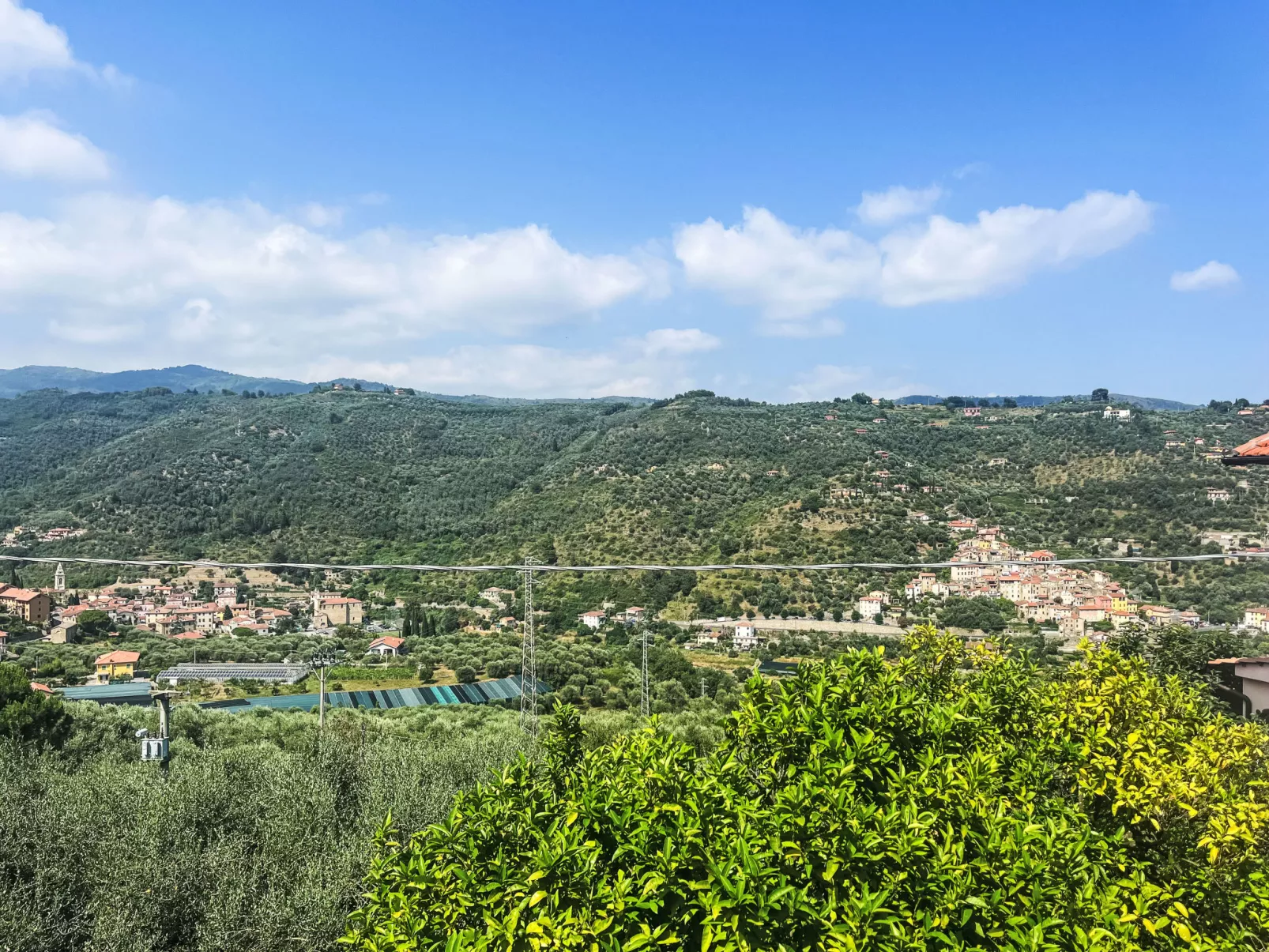 Marisa (DOL126)-Buiten