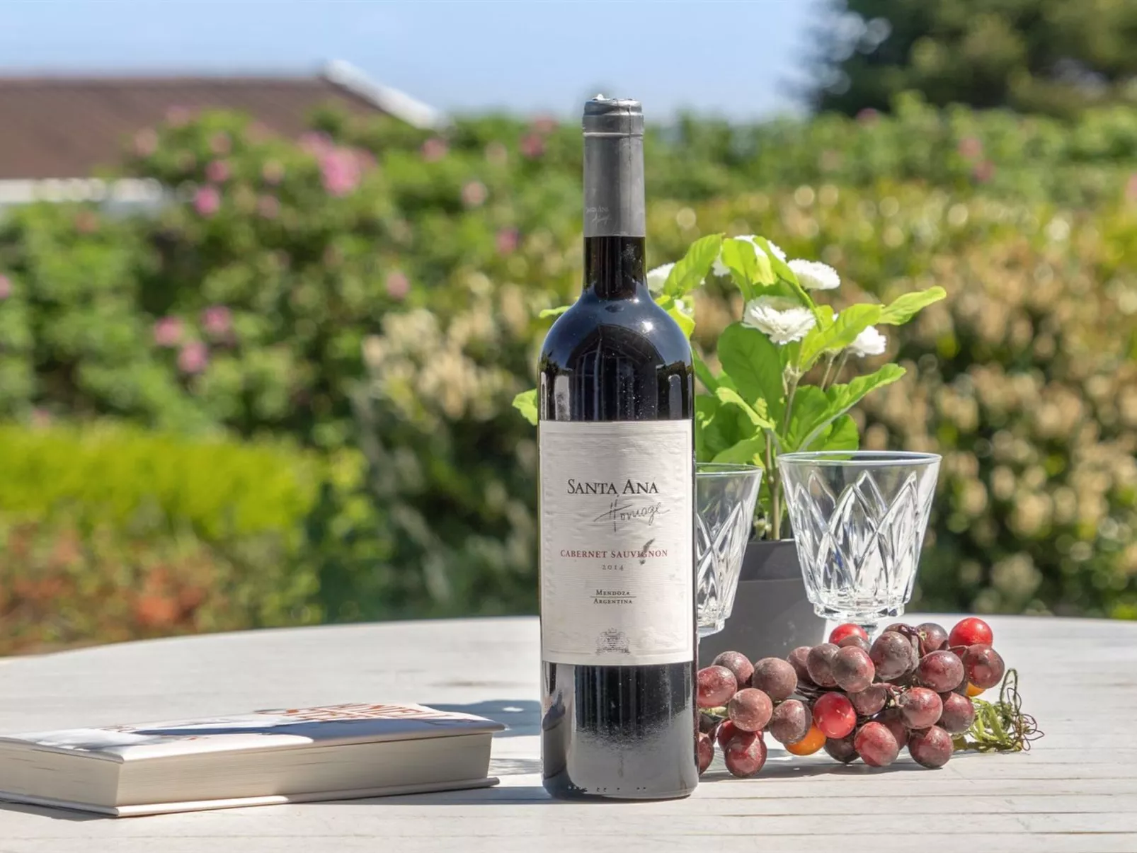 "Jarmericus" - 300m from the sea-Binnen