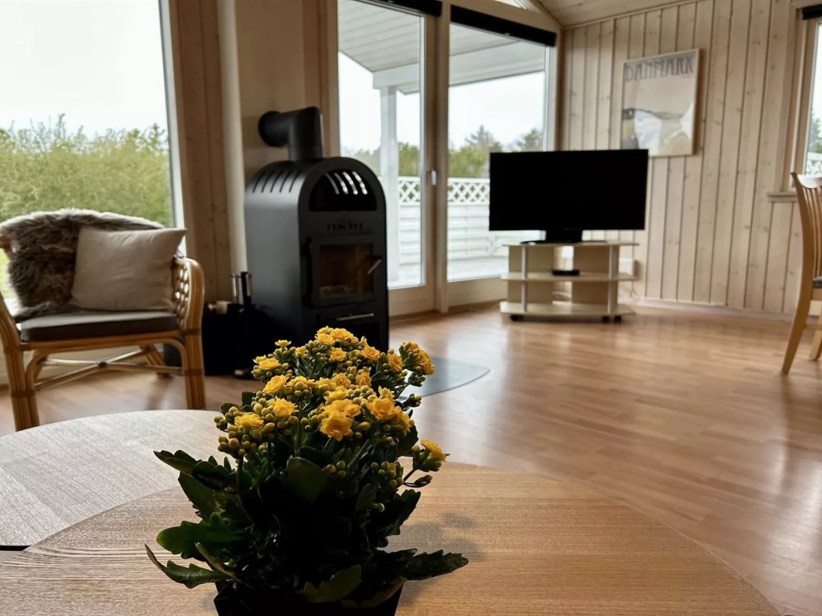 "Picabo" - 750m to the fjord-Binnen