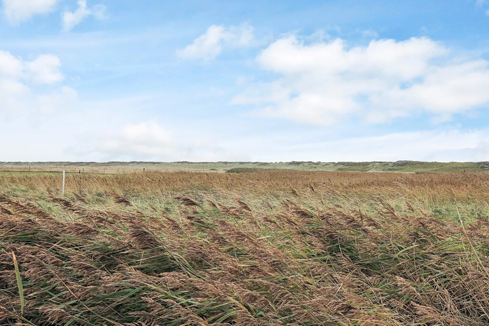 4 persoons vakantie huis in Vestervig-By Traum-Niet-getagd