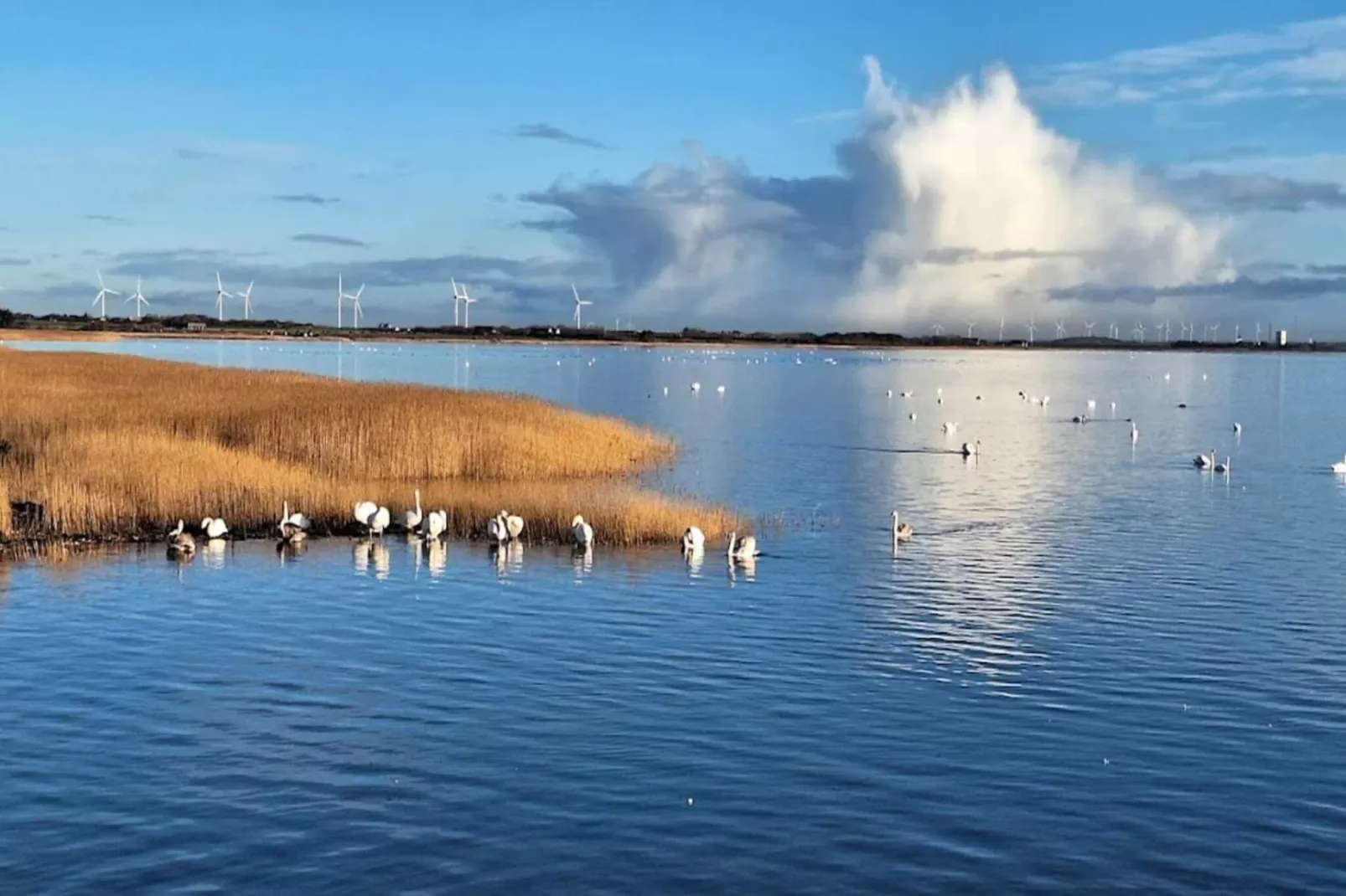 4 persoons vakantie huis in Ringkøbing-By Traum-Waterzicht