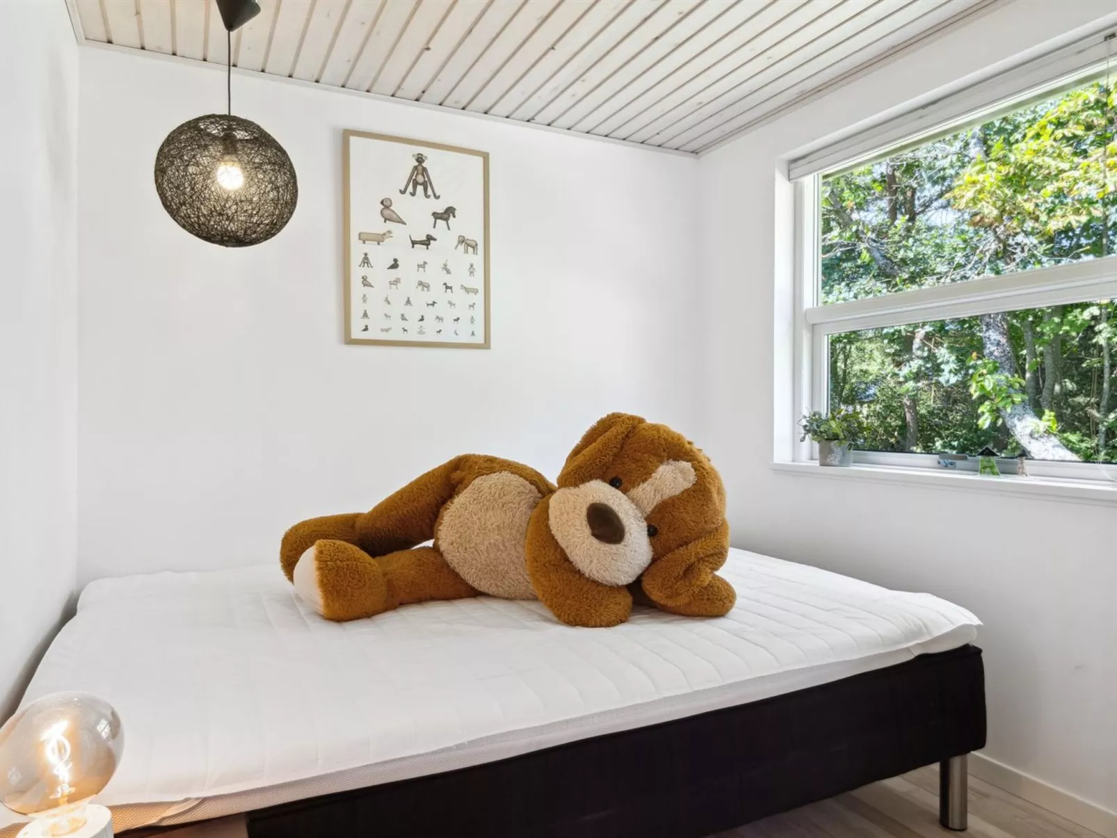 "Felippa" -  from the sea-Binnen