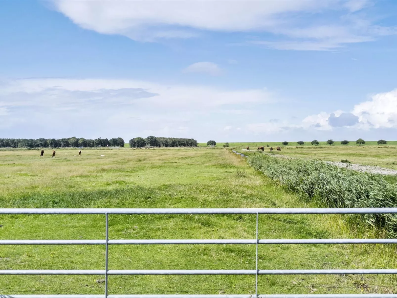 "Janin" - 400m from the sea-Buiten