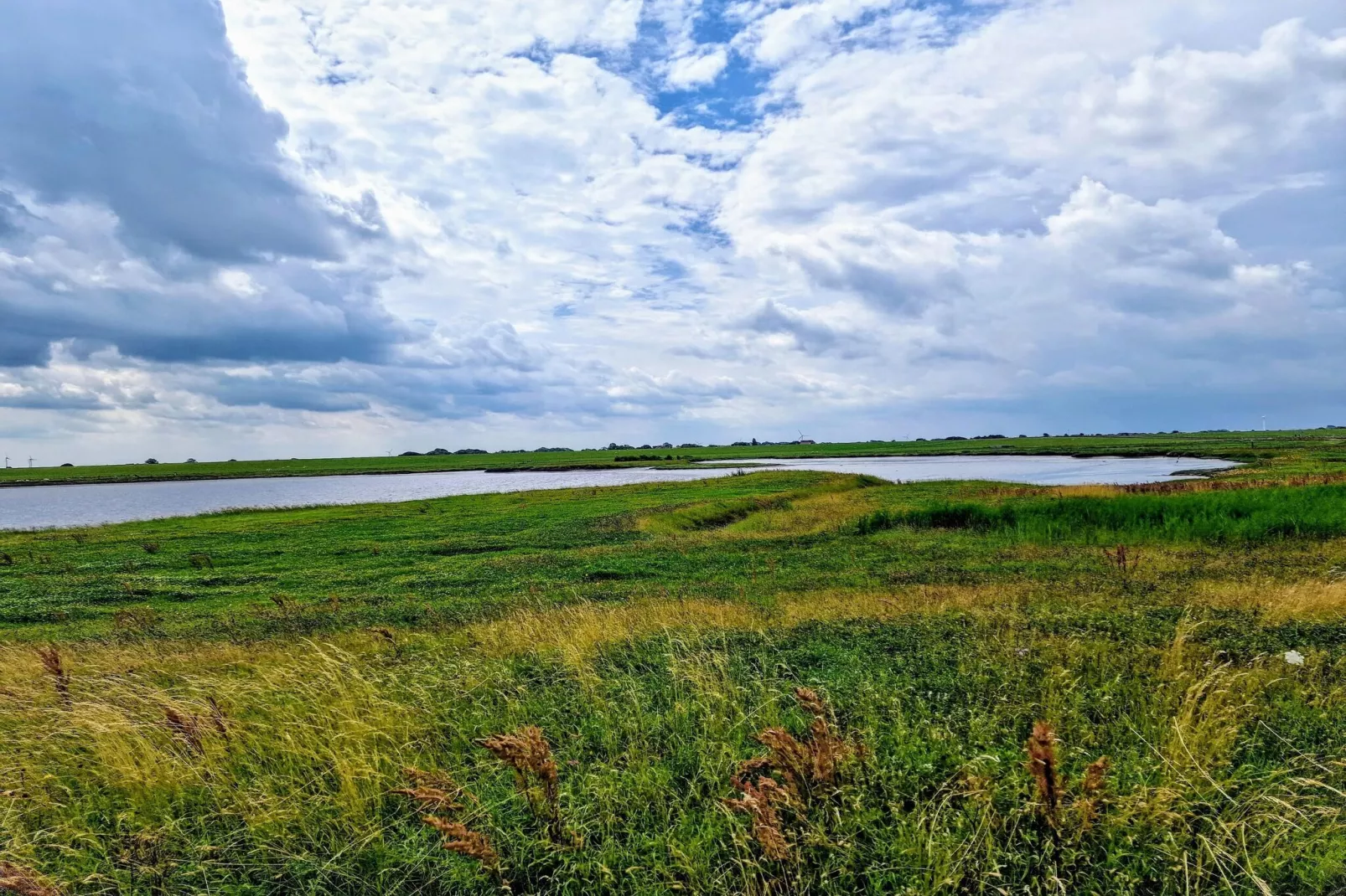 Fewo Seelust 03 Unten-Gebieden zomer 5km
