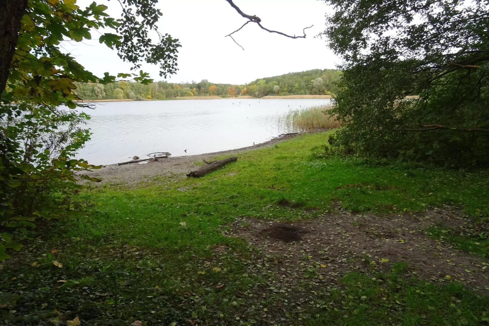 Luxus Appartement / 7 Personen-Gebieden zomer 5km