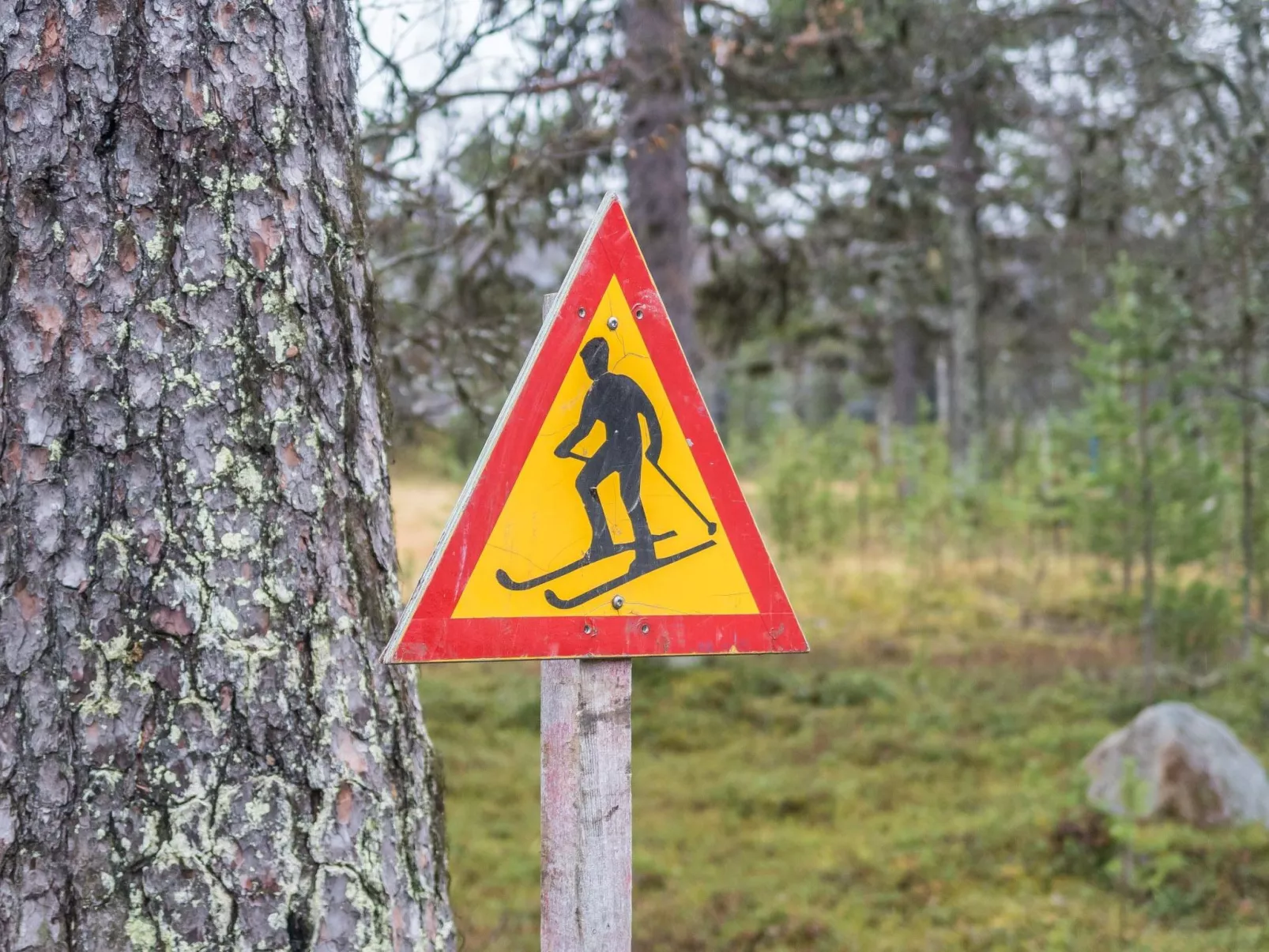 Moitakuru a10-Binnen