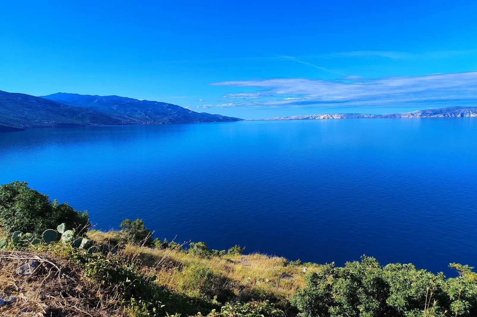 Niko 1-Gebieden zomer 5km