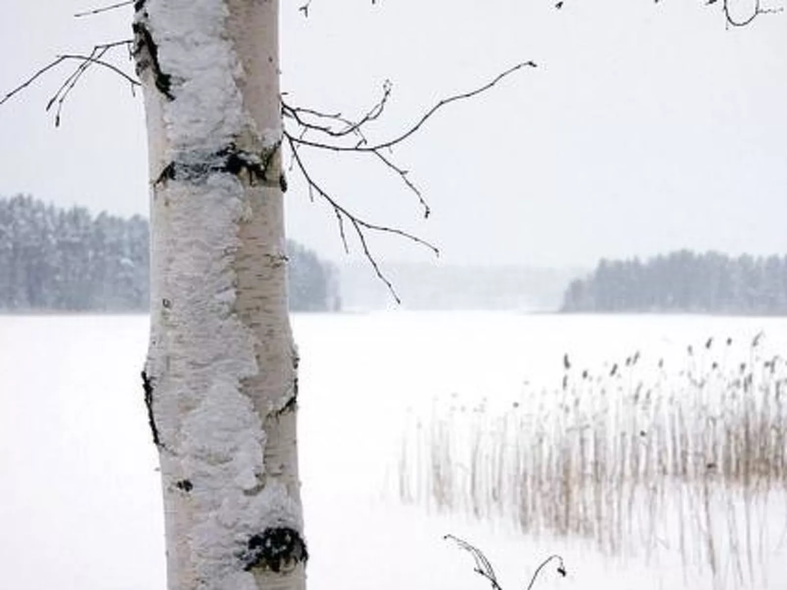 Kopinkallio 1-Binnen