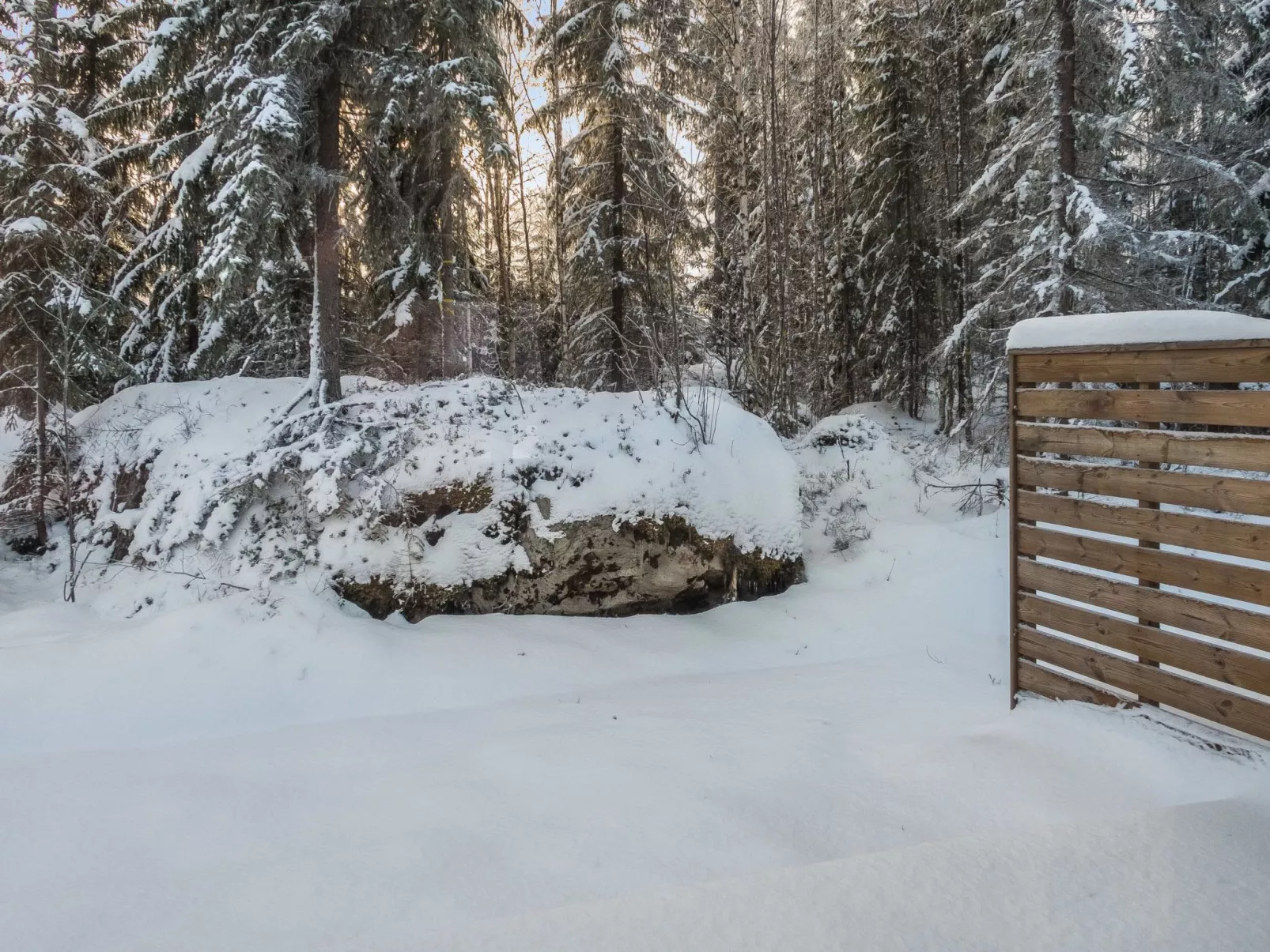 Klz rodoniitti-Binnen