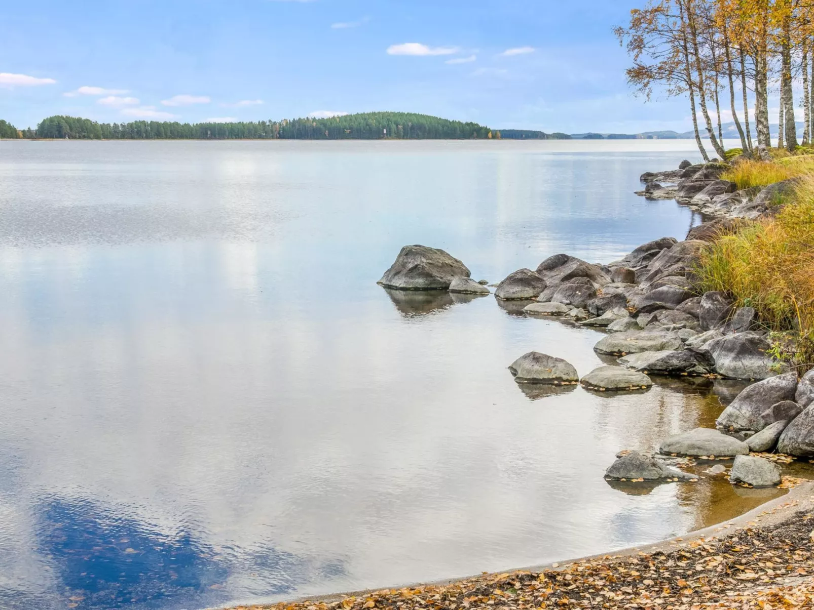 Kolin mesikämmen-Binnen