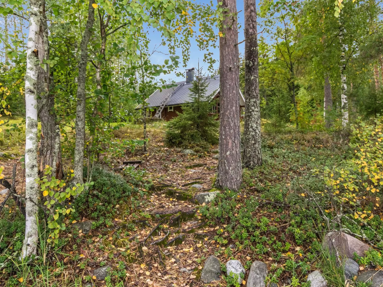 Vihreä mökki-Binnen