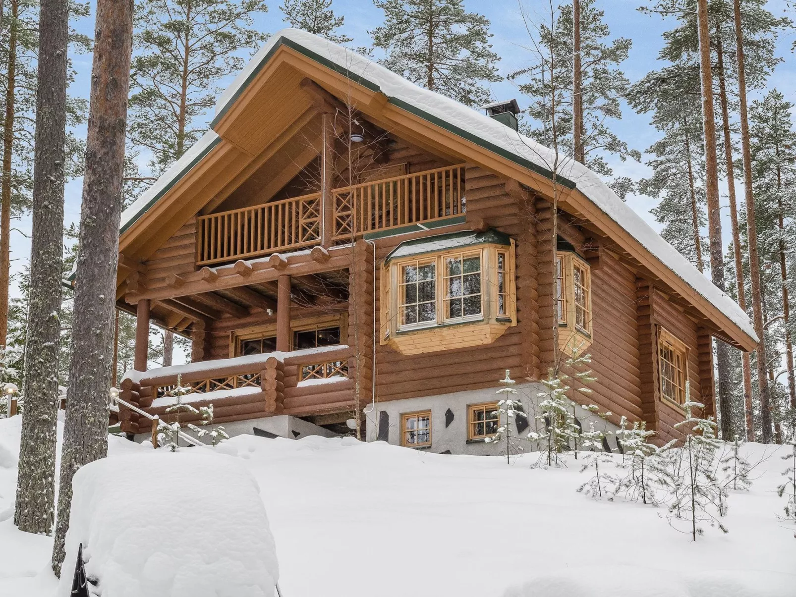 Villa tunturitervakko-Binnen