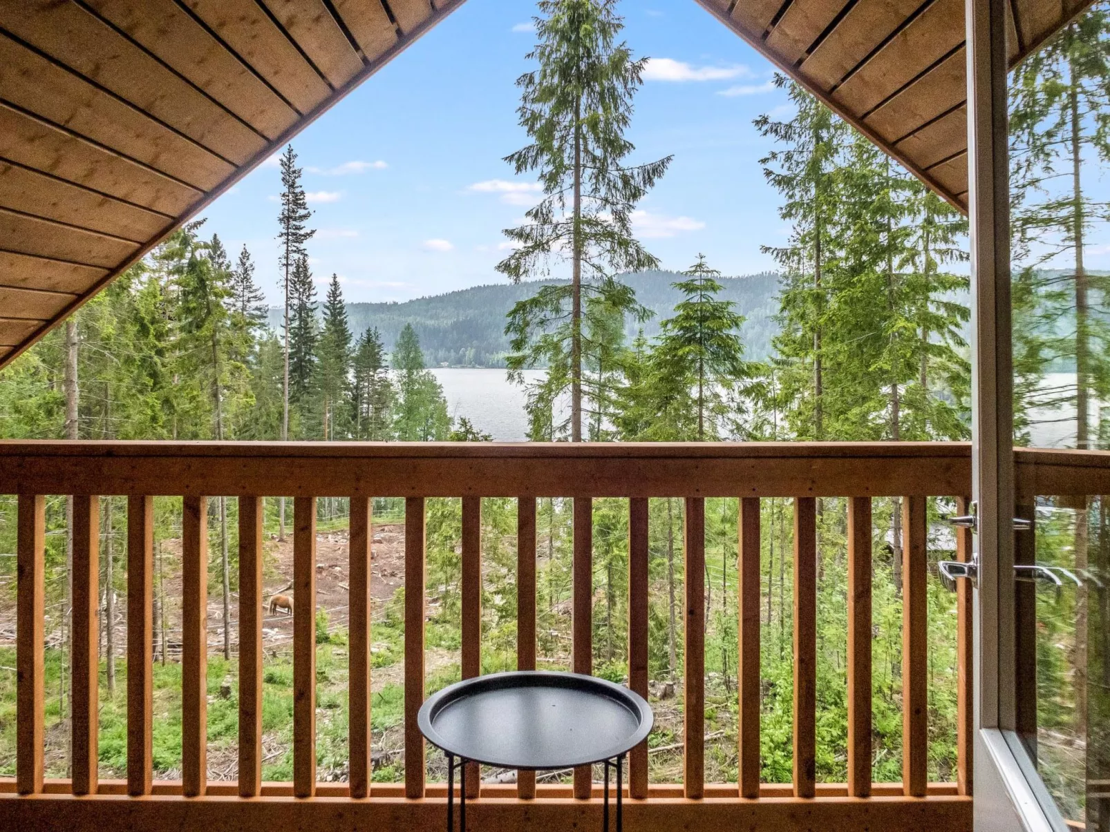 Kolin kangastus kielo 3-Binnen