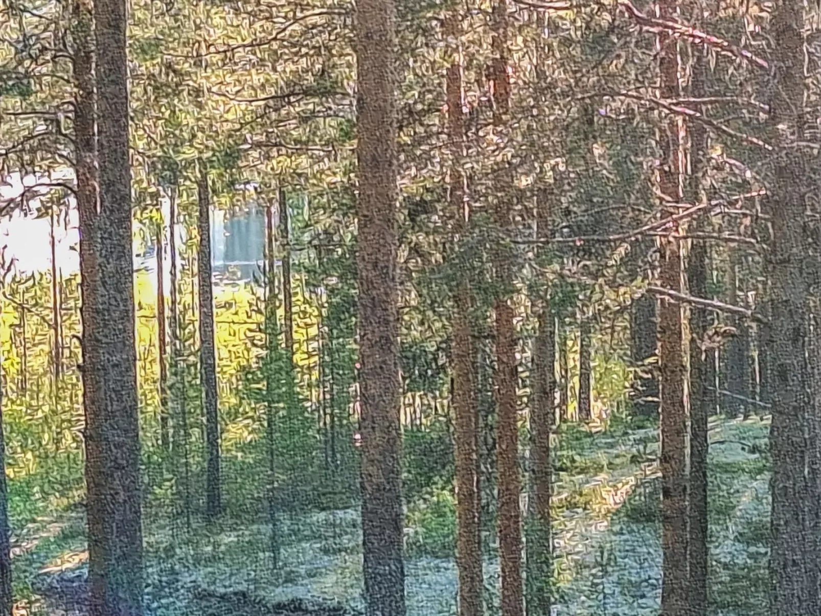 Rokua vaulutupa-Binnen