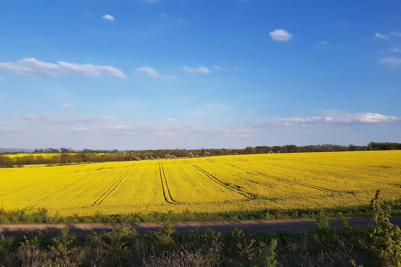 Ferienwohnung Freital - Dresden-Gebieden zomer 5km