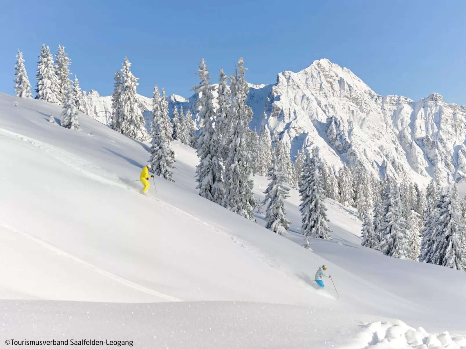 Waidmannsheil - 67qm-Omgeving