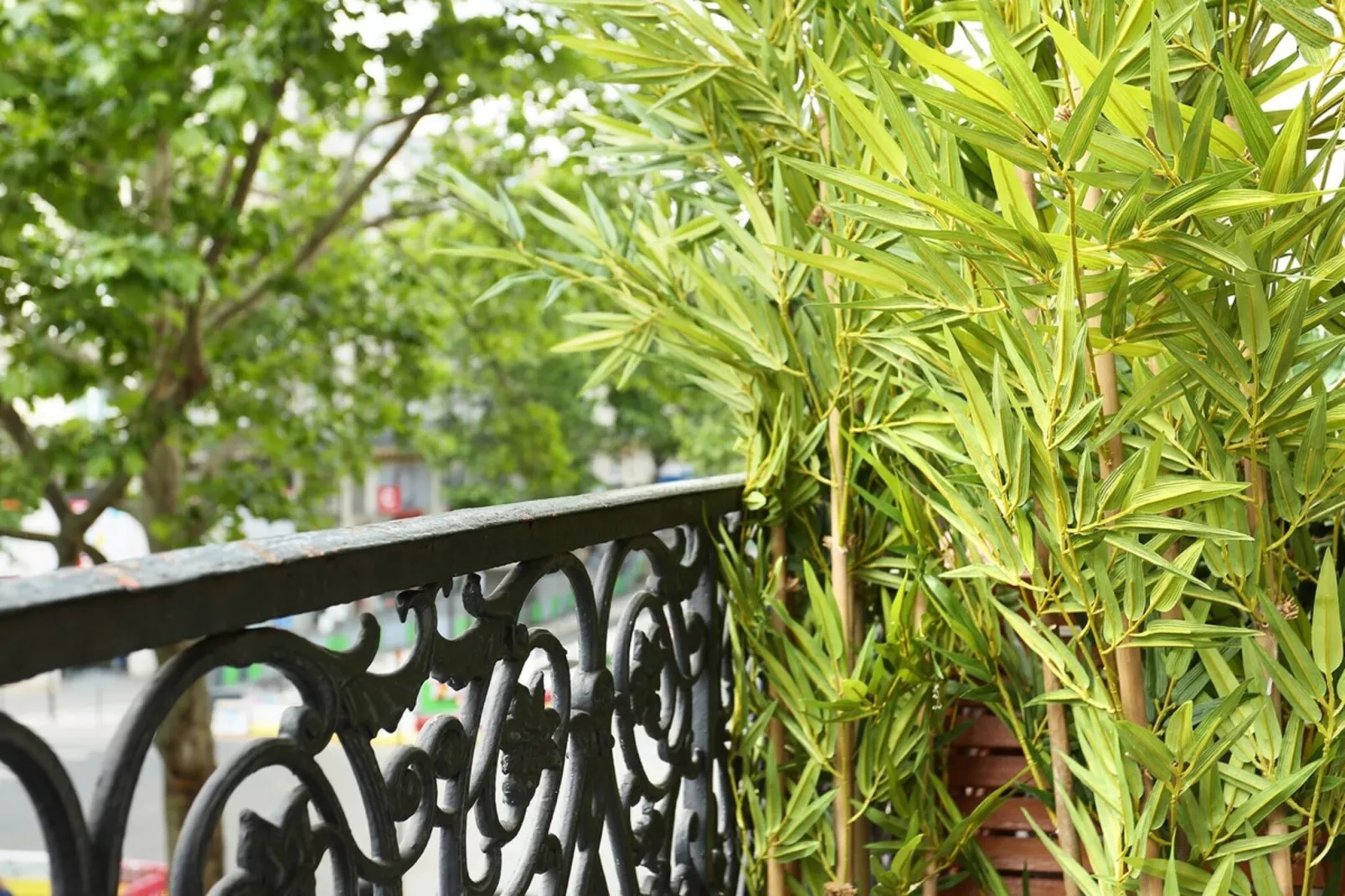 SEBASTOPOL GREEN NEW-Niet-getagd