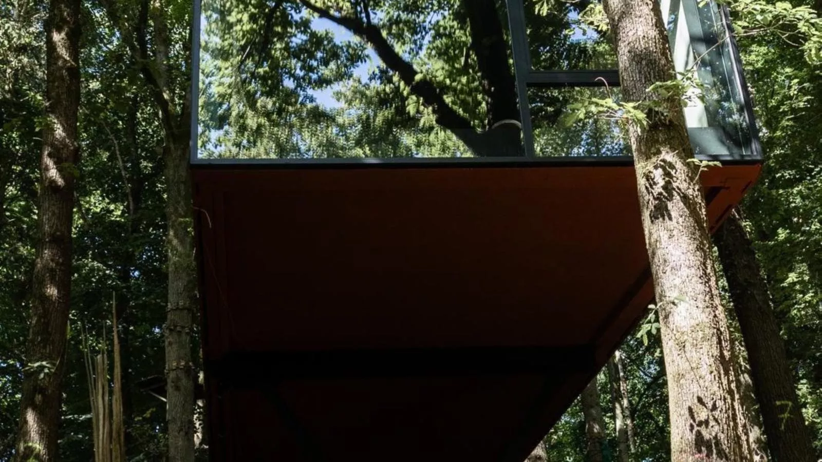 Cabane dans les arbres-Buitenkant zomer