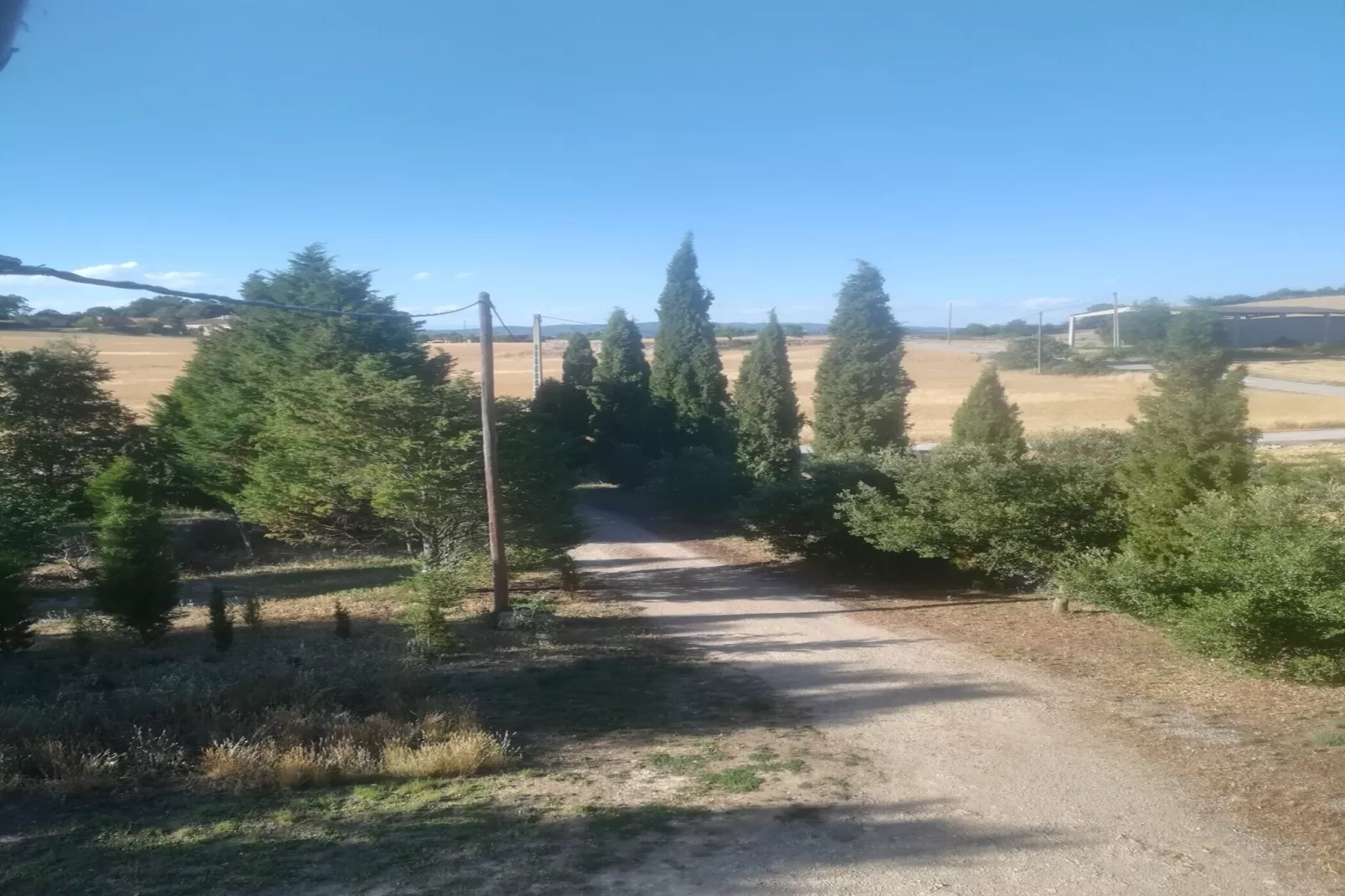 Cal Xelin-Gebieden zomer 1km