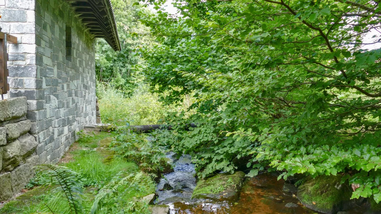 Alte Muehle-Uitzicht zomer
