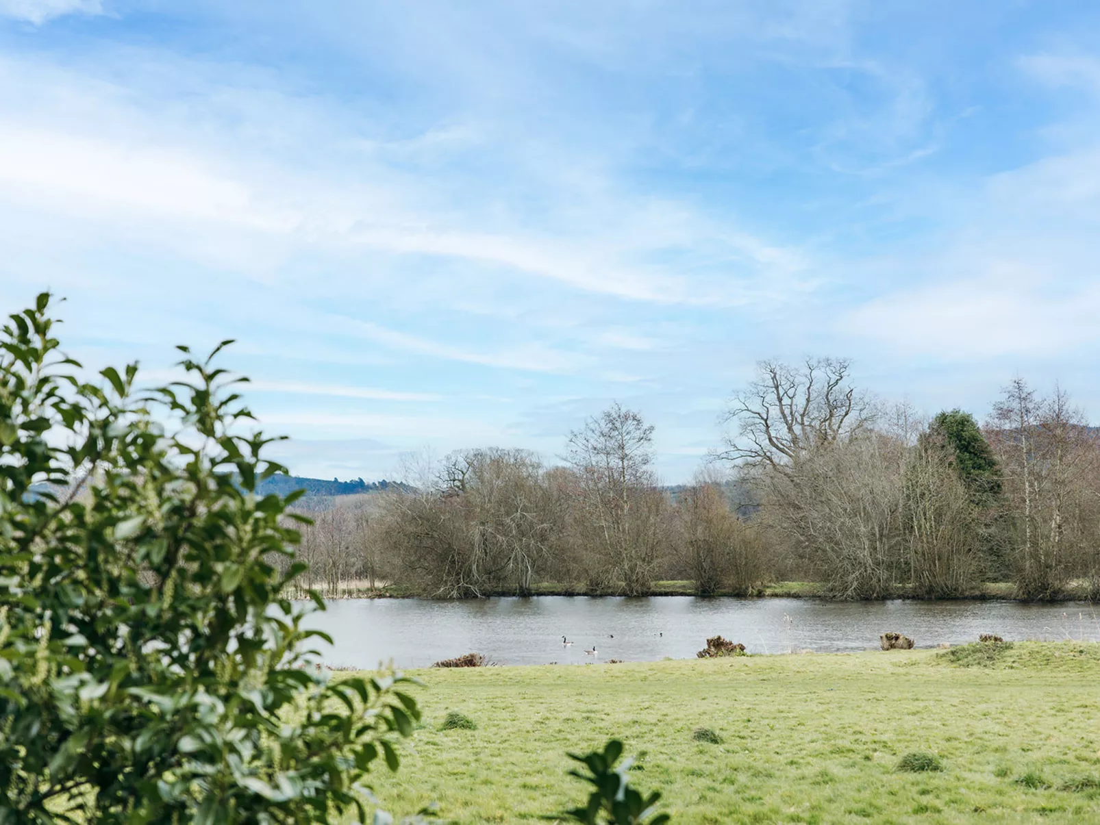 Netley Hall - Camelia-Buiten