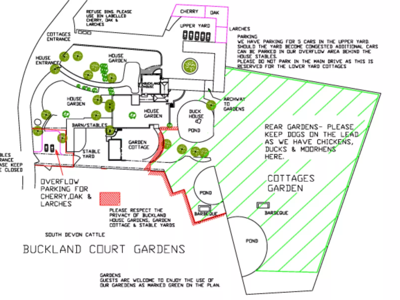 Cherry at Buckland Court-Buiten