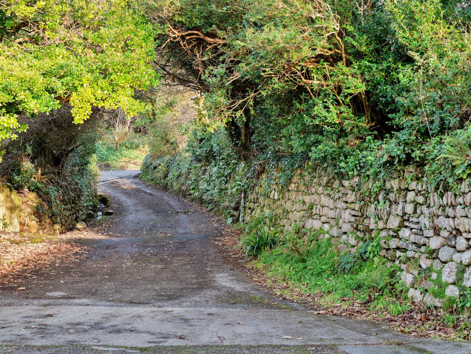 The Noel at Lesceave-Buiten