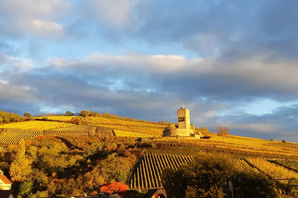 479485 - Niet-getagd